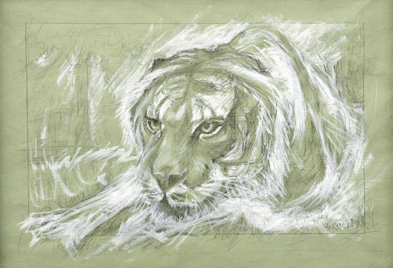 6 Tigre